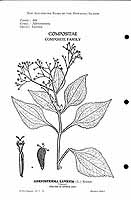  no thumbnail available