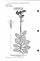  no thumbnail available