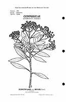  no thumbnail available