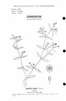  no thumbnail available