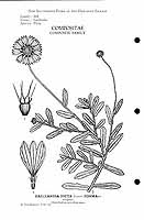  no thumbnail available