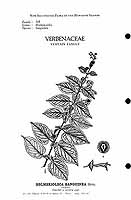  no thumbnail available