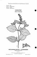  no thumbnail available