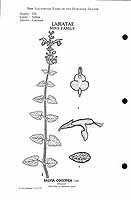  no thumbnail available