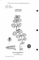  no thumbnail available