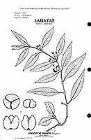  no thumbnail available