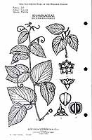  no thumbnail available