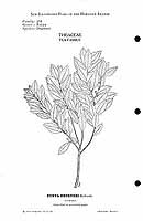  no thumbnail available