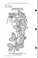  no thumbnail available