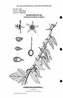  no thumbnail available