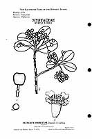  no thumbnail available