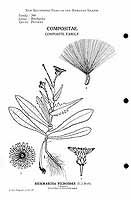  no thumbnail available