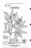  no thumbnail available