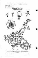  no thumbnail available