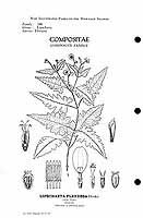  no thumbnail available