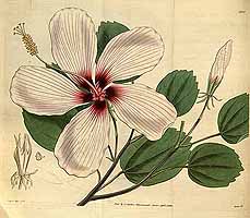  no thumbnail available