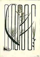 no HD illustration available (5) 