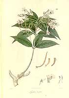  no thumbnail available