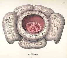  no thumbnail available