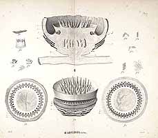  no thumbnail available