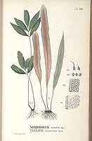  no thumbnail available