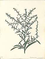 no HD illustration available (5) 