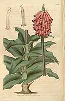  no thumbnail available