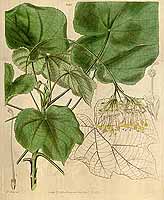  no thumbnail available