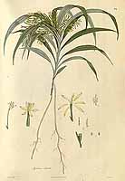  no thumbnail available