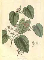  no thumbnail available