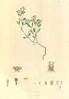  no thumbnail available