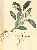  no thumbnail available