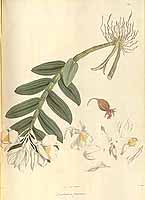  no thumbnail available