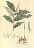  no thumbnail available