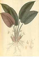  no thumbnail available