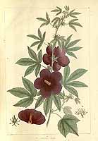  no thumbnail available