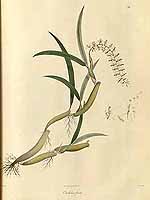  no thumbnail available