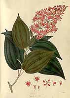  no thumbnail available