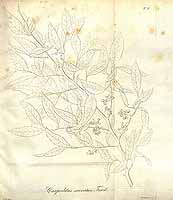  no thumbnail available