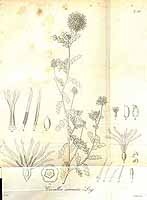  no thumbnail available