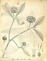  no thumbnail available