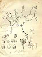  no thumbnail available