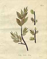  no thumbnail available