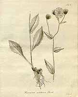  no thumbnail available