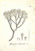  no thumbnail available