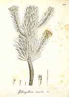  no thumbnail available