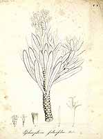  no thumbnail available