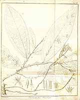  no thumbnail available