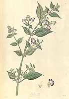  no thumbnail available