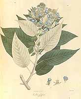  no thumbnail available